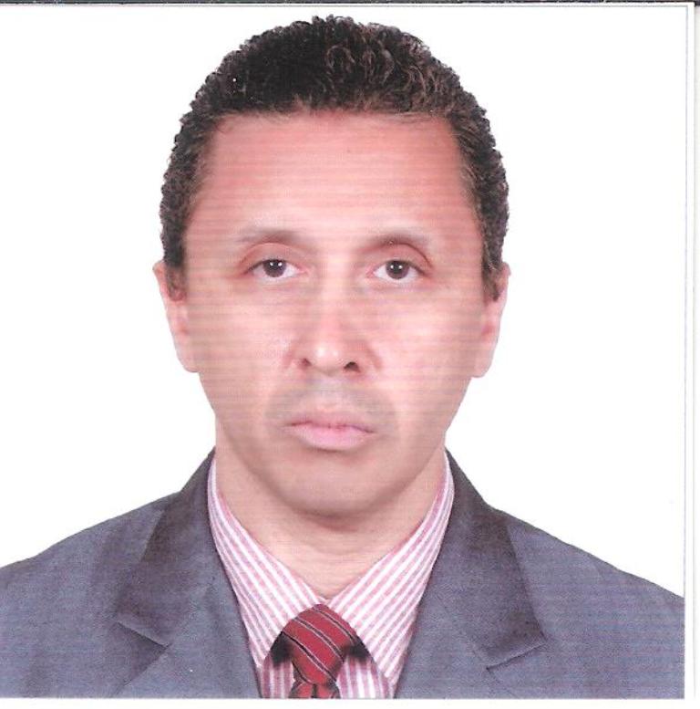 Hossam EL Dien Ahmed EL Shamaa